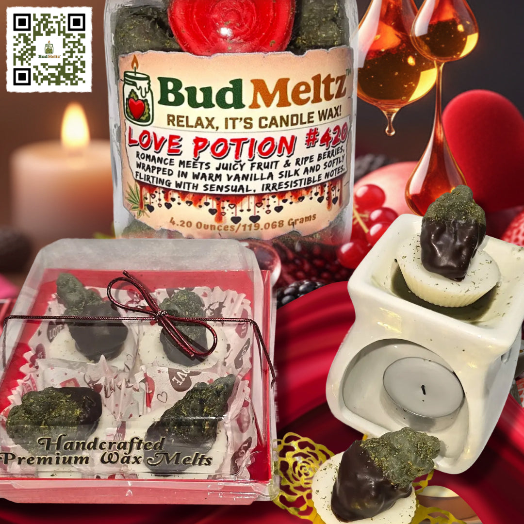 Chocolate dipped wax bud melt