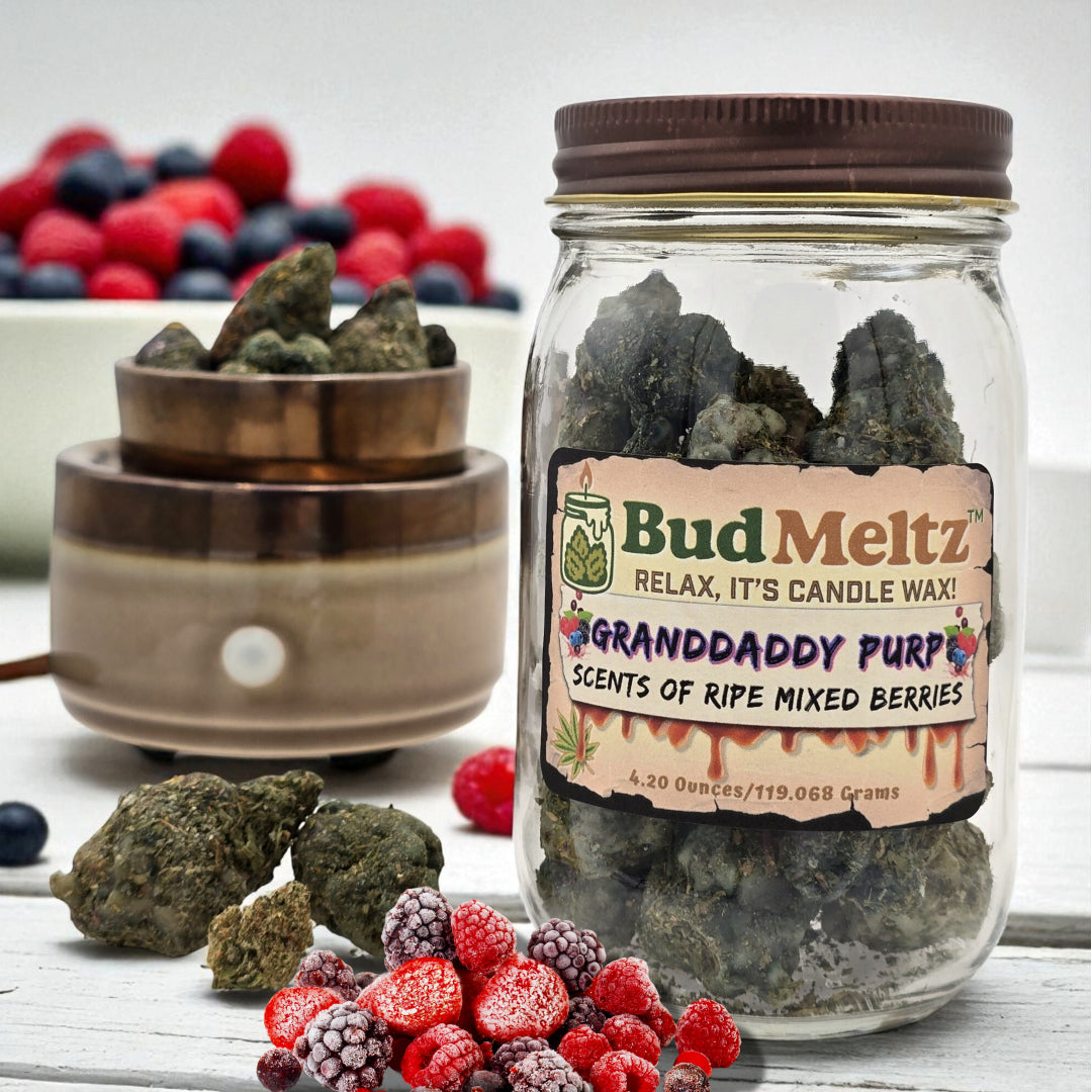 BudMeltz Wax Warmer Gift Package